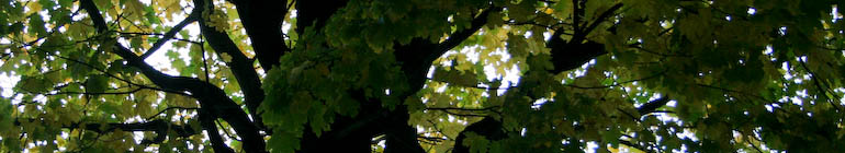 bergin.se header image 2